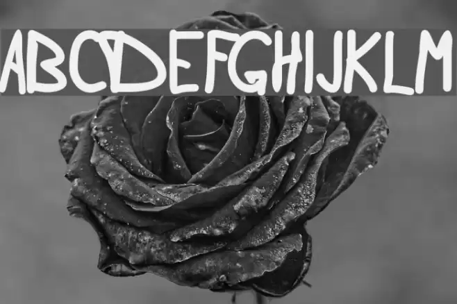 Douglas Hand Normal Font examples