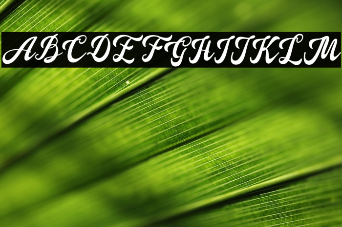 Douglas-Regular Example 1