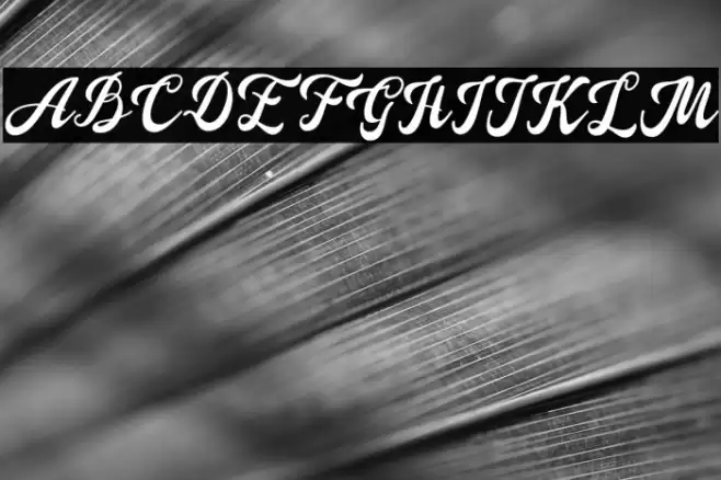 Douglas-Regular Font examples