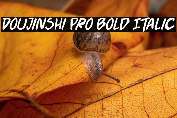 Doujinshi Pro Bold Italic Example 1