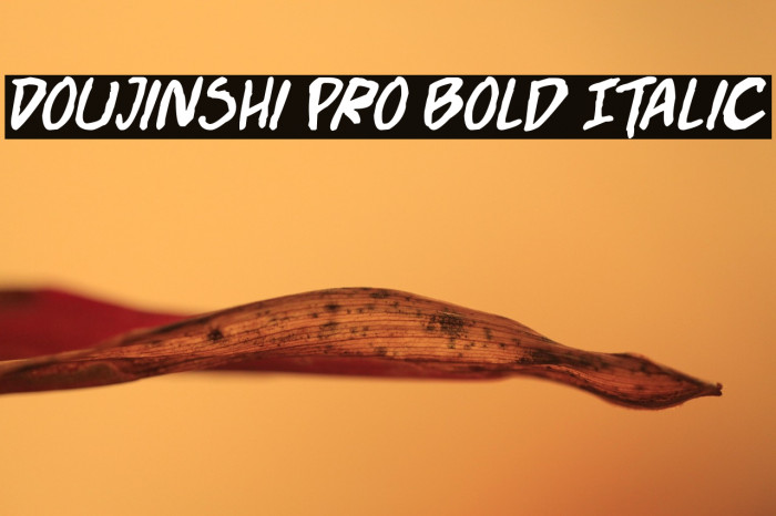 Doujinshi Pro Bold Italic Example 3