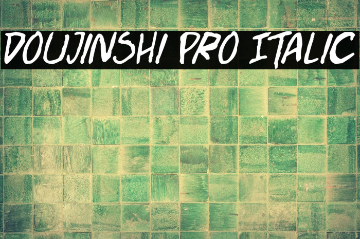 Doujinshi Pro Italic Example 1