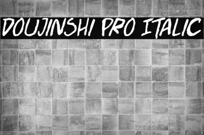 Doujinshi Pro Italic Example 1