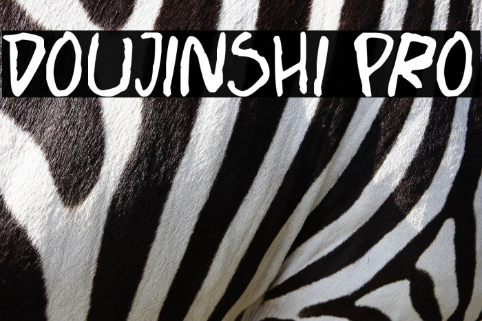 Doujinshi Pro Example 2