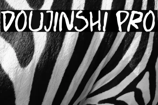 Doujinshi Pro Example 2