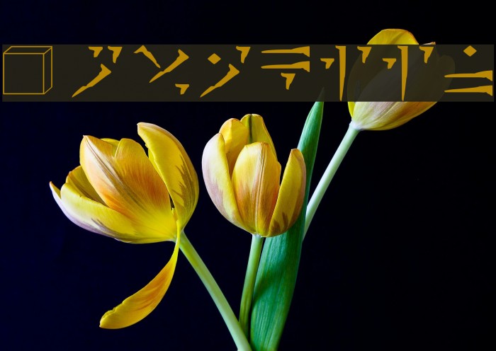 Dovakiin Font examples