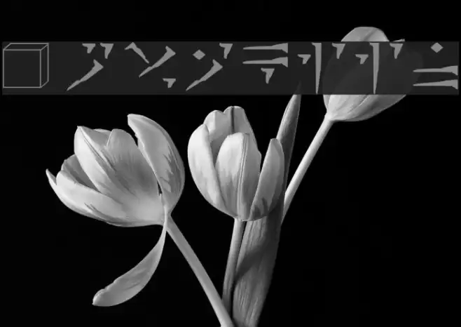 Dovakiin Example 2