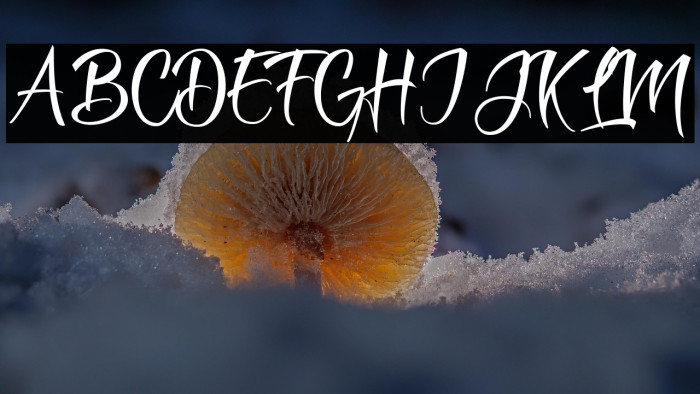 Dove of Peace two Personal Use Example 1