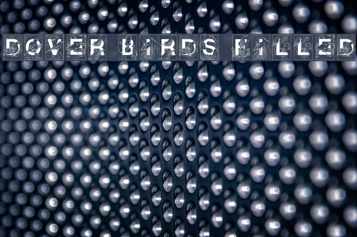 Dover Birds Filled Font examples