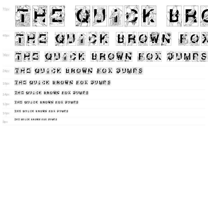 Dover Birds Filled Waterfall