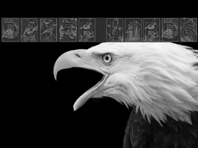 Dover Birds Font examples