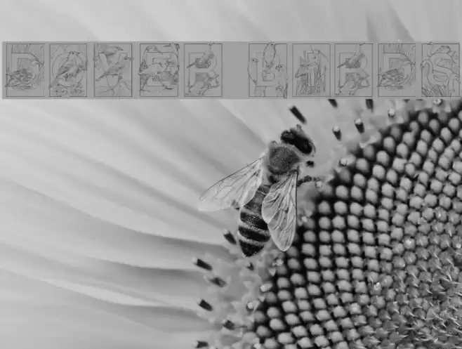 Dover Birds Font examples