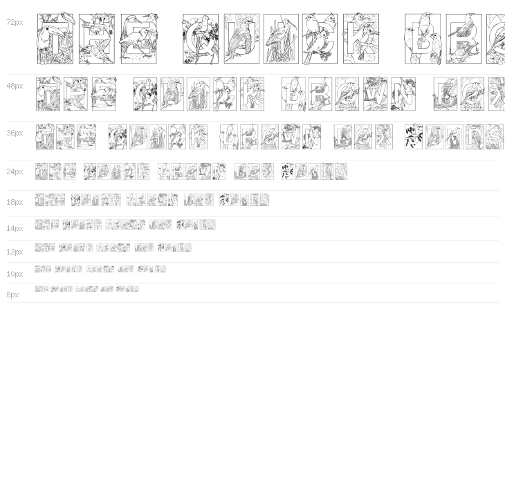 Dover Birds Waterfall