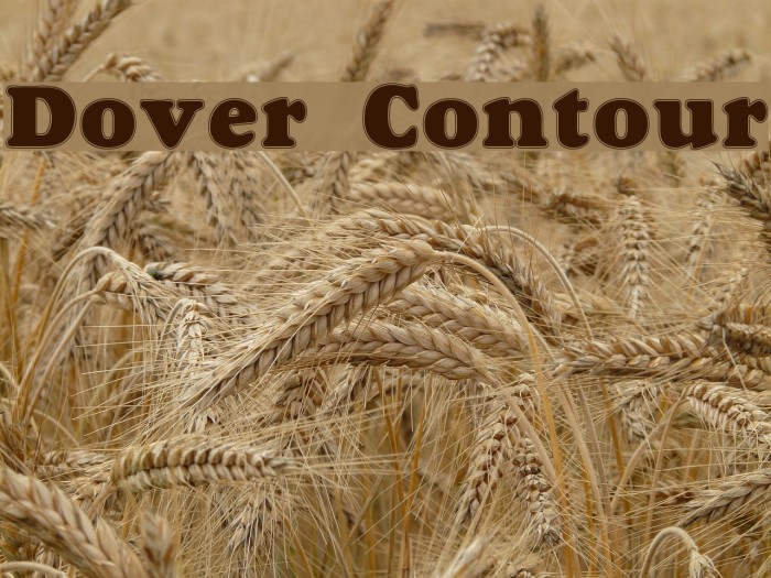 Dover Contour Caratteri examples