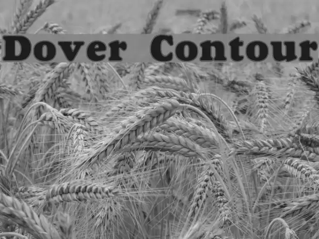 Dover Contour Caratteri examples