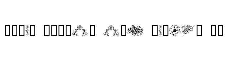 Dover Floral and Design II Font