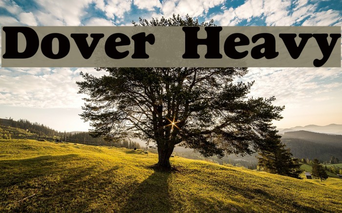 Dover Heavy Font examples