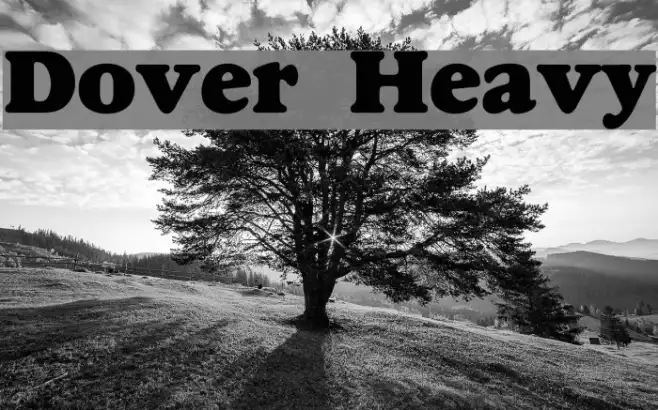 Dover Heavy Example 1