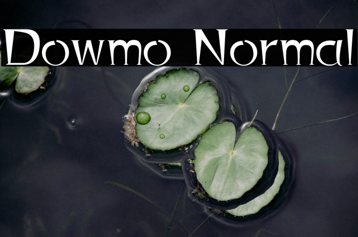 Dowmo Normal Example 1