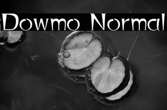 Dowmo Normal Polices examples
