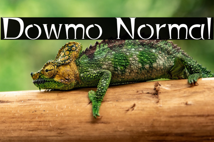 Dowmo Normal Example 2