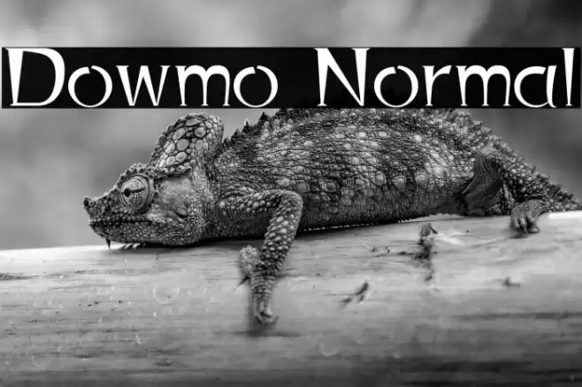 Dowmo Normal Polices examples