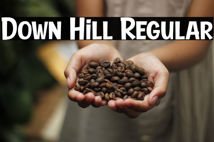 Down Hill Regular Font examples