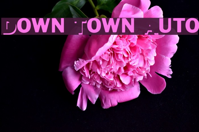 Down Town Auto Font examples