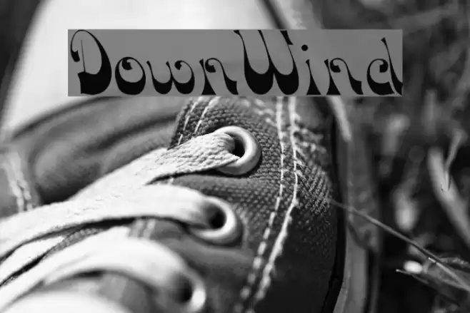 DownWind Шрифта examples