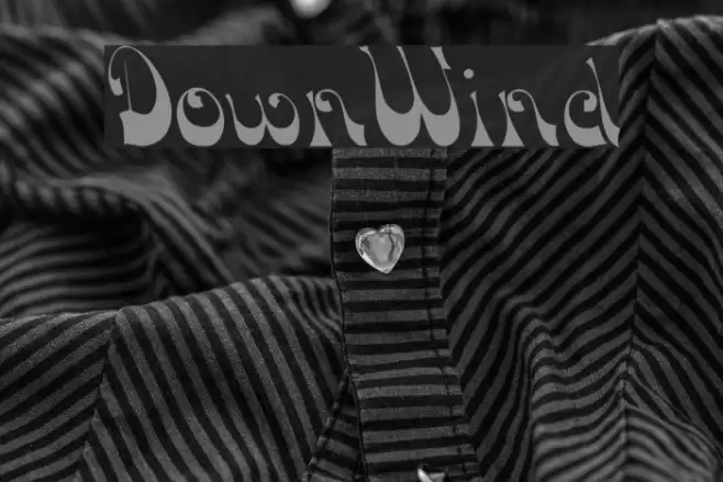DownWind Шрифта examples