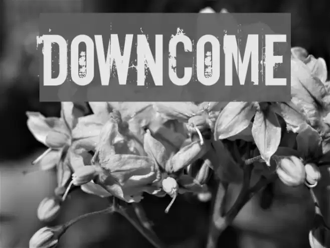 Downcome Font examples