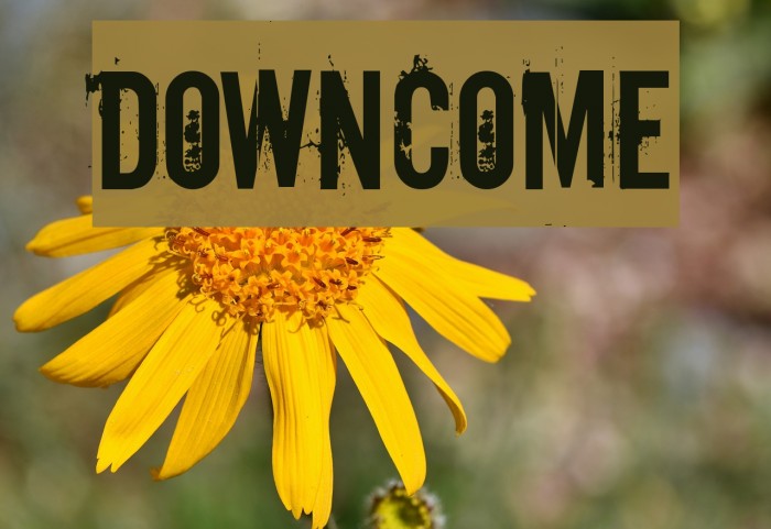 Downcome Font examples