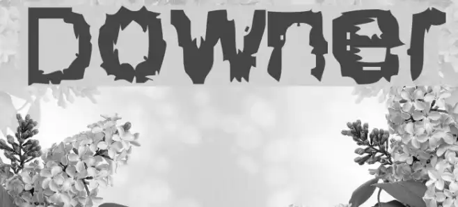 Downer Example 2