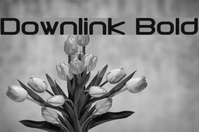 Downlink Bold Font examples
