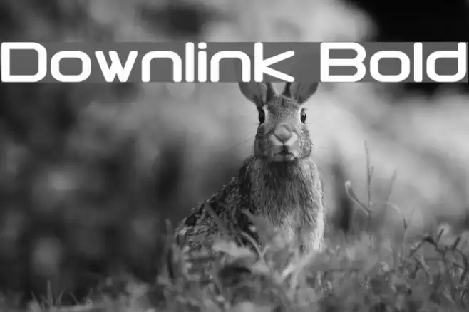 Downlink Bold Font examples