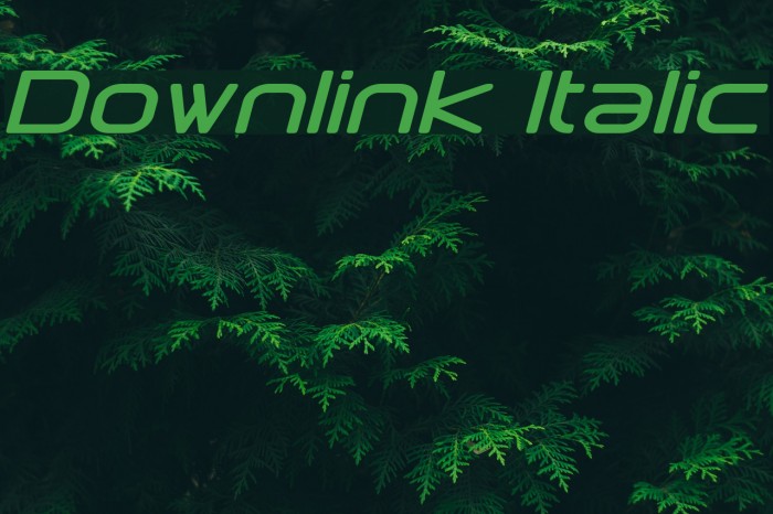 Downlink Italic Font examples