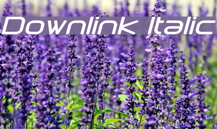 Downlink Italic Font examples