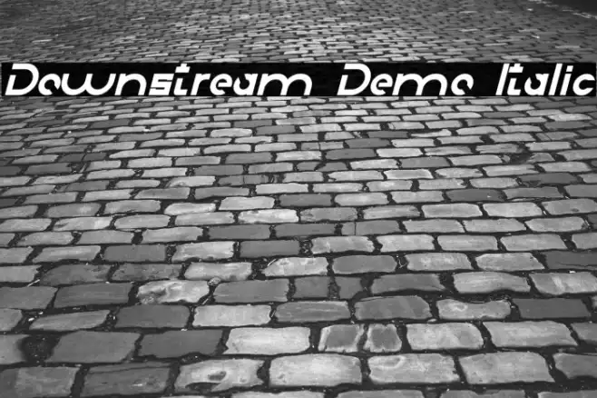 Downstream Demo Italic Example 1