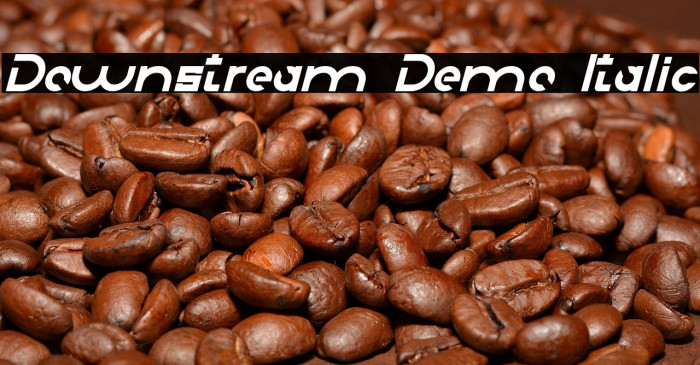 Downstream Demo Italic Example 2