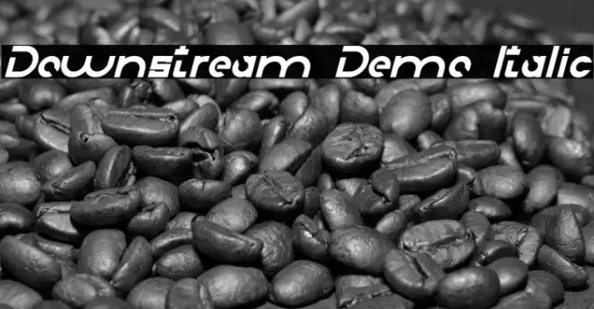 Downstream Demo Italic Example 2