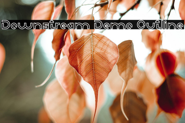 Downstream Demo Outline Example 3