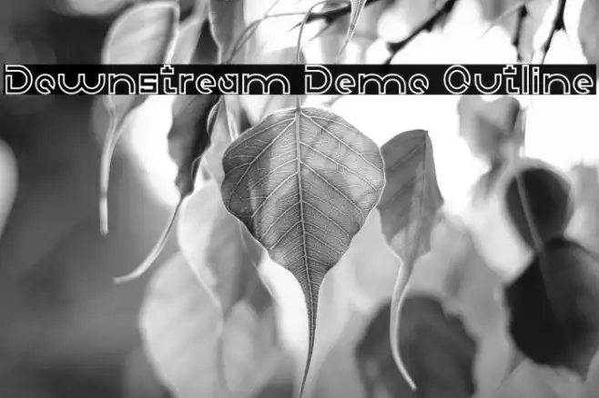 Downstream Demo Outline Example 3