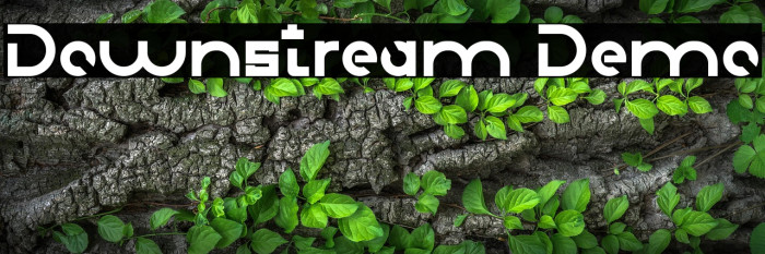 Downstream Demo Example 2