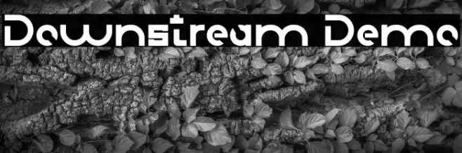 Downstream Demo Font examples