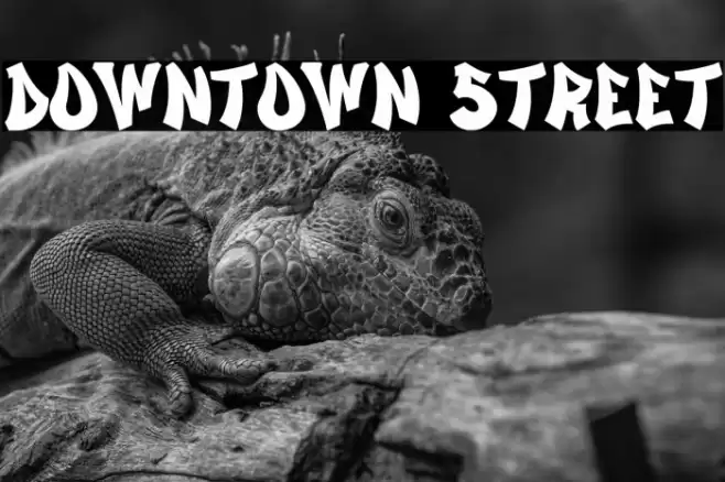 Downtown Street Font examples