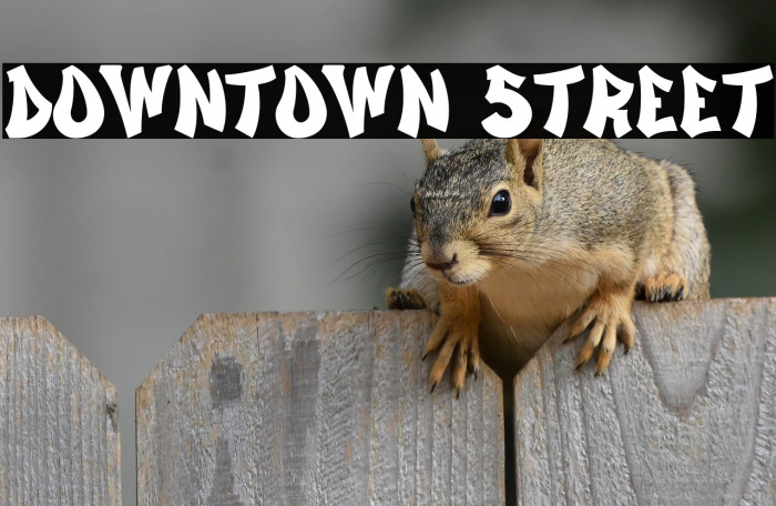 Downtown Street Example 2