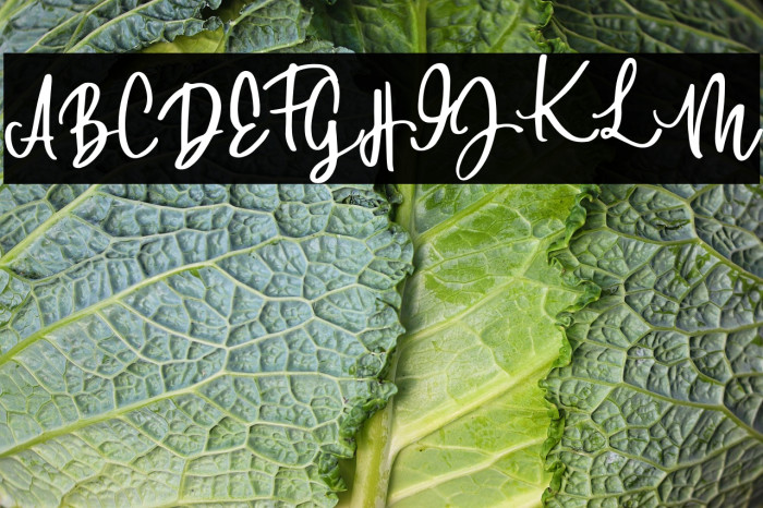 DowntownDEMO-Regular Example 1