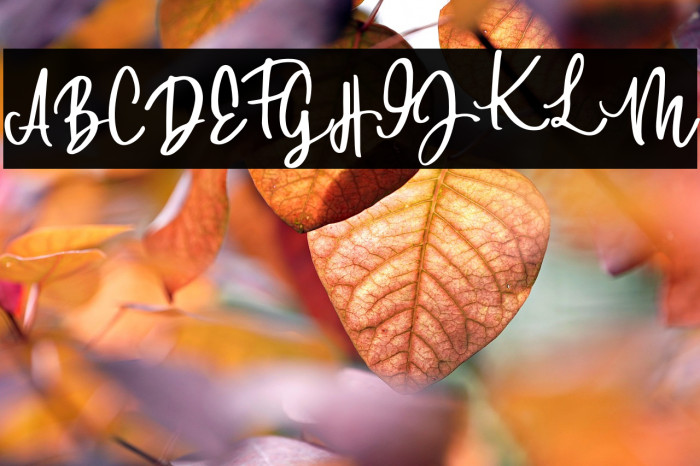 DowntownDEMO-Regular Example 2