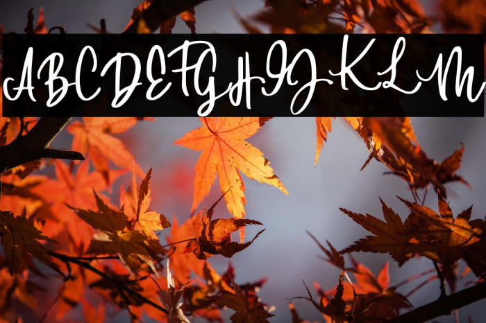 DowntownDEMO-Regular Example 3