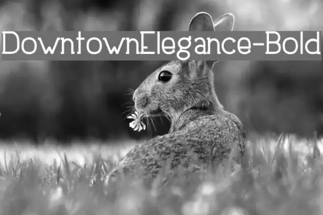 DowntownElegance-Bold Caratteri examples
